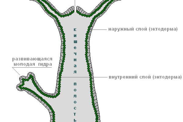 Кракен маркетплейс в тг