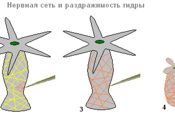 Ссылка на кракен в браузере