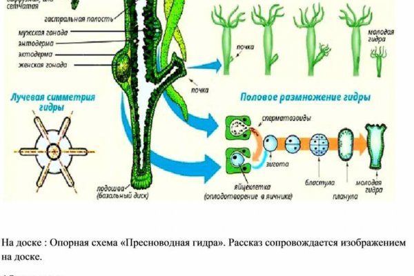 Кракен макет плейс