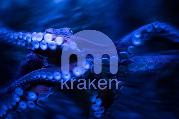 Kraken com vtor run