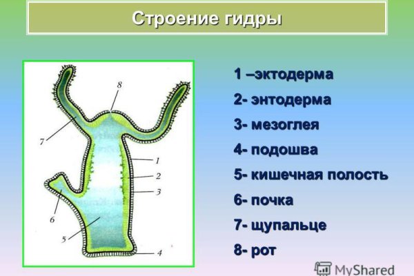 Проверенная ссылка кракен